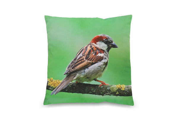 PILLOW
