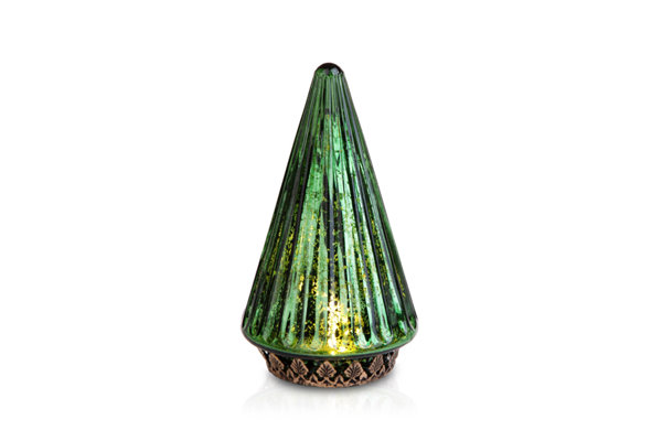 LIGHTED CONE