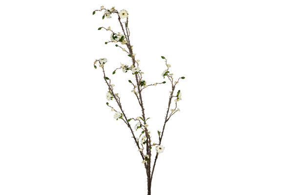 FLOWERS BRANCH