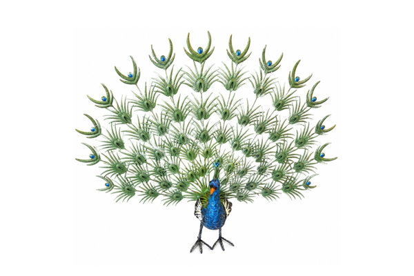 PEACOCK