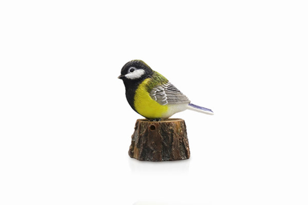 WELCOME BIRD