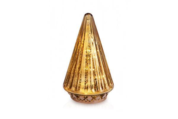 LIGHTED CONE