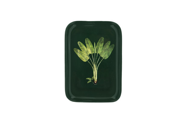 TRAY