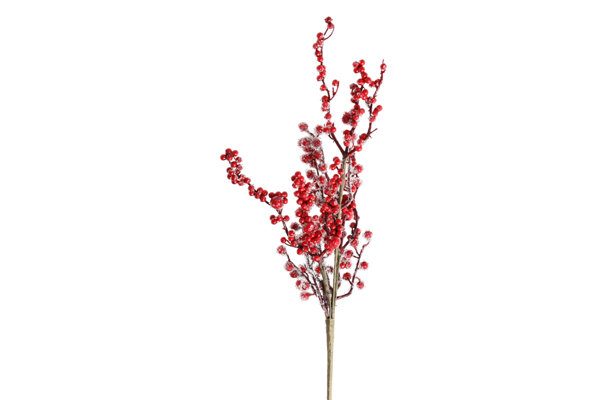RED BERRIES BRANCH
