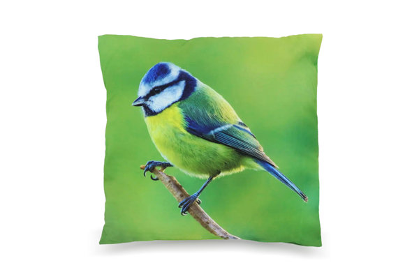 PILLOW
