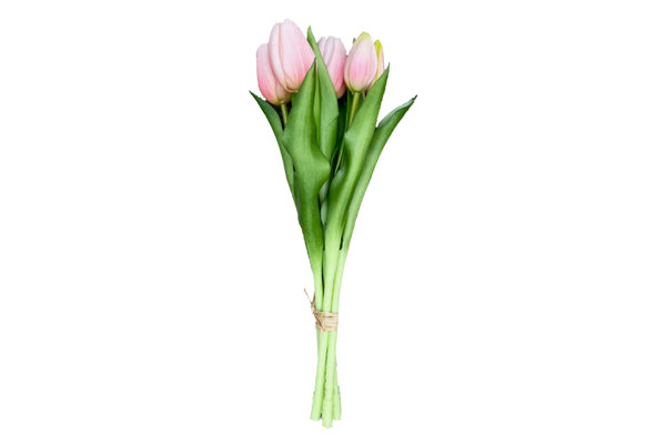 TULIPS BOUQUET