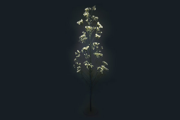 LIGHTED TREE