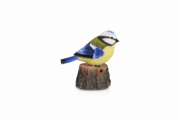 WELCOME BIRD