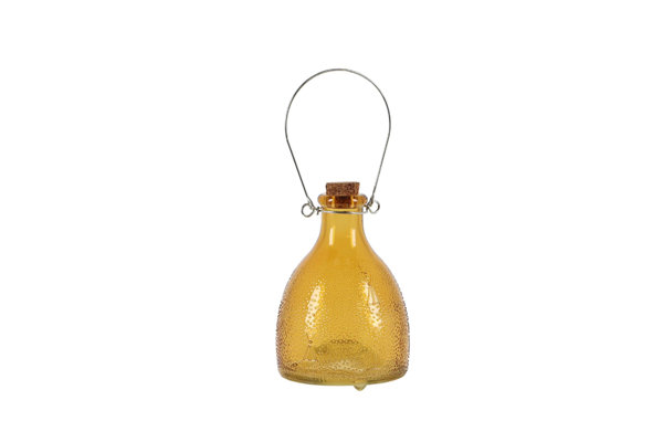 WASP TRAP