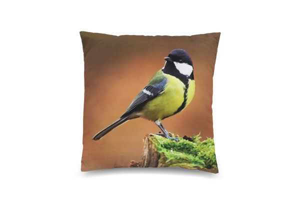 PILLOW