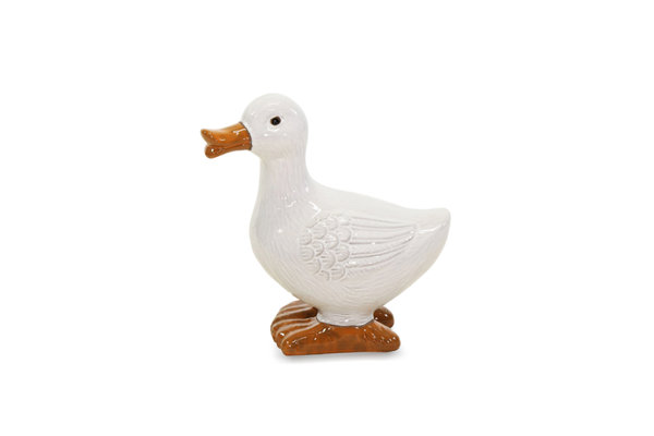 DUCK