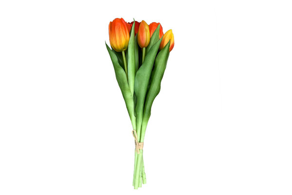 TULIPS BOUQUET