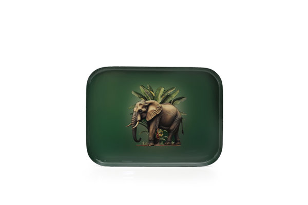 TRAY