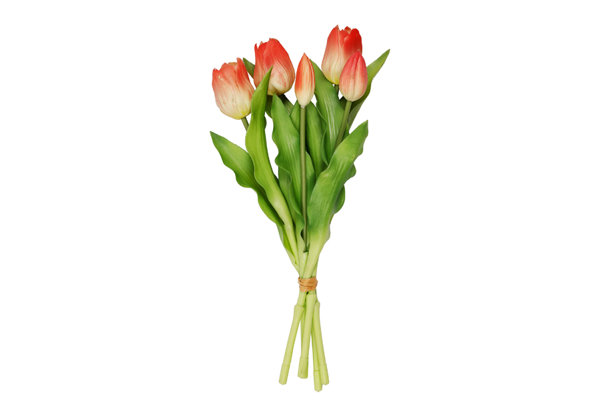 TULIPS BOUQUET