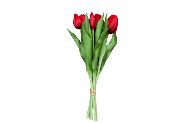 TULIPS BOUQUET