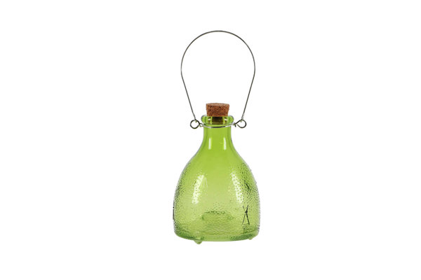 WASP TRAP