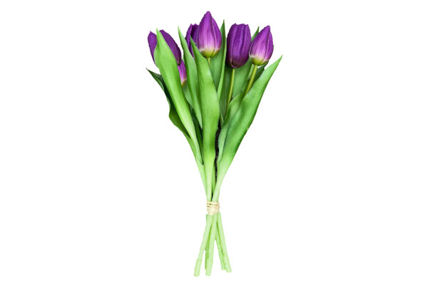 TULIPS BOUQUET