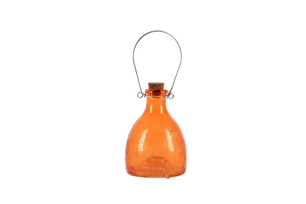 WASP TRAP